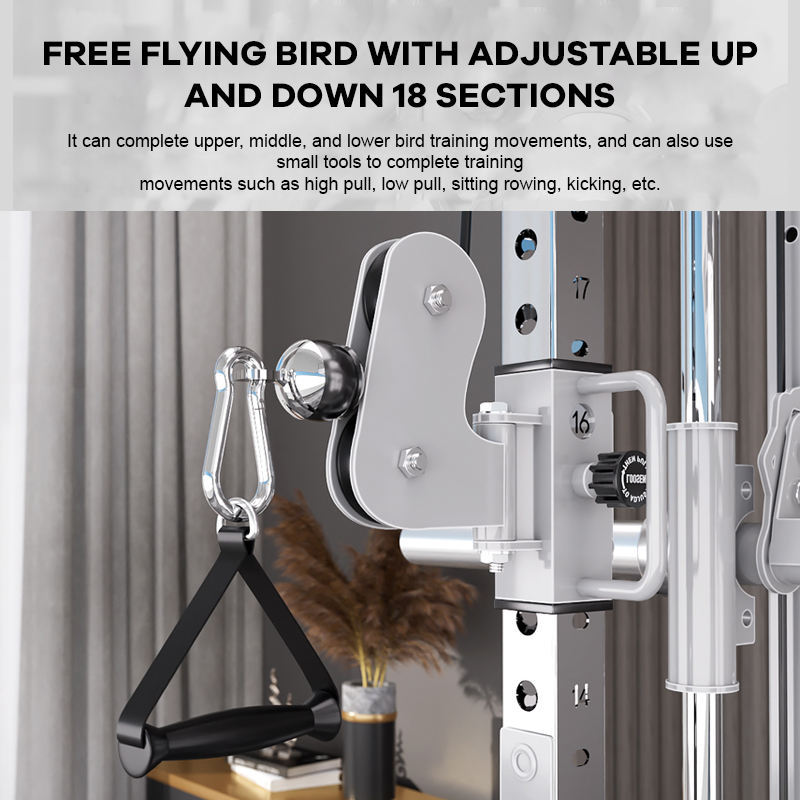 Peralatan Gym Rumahan dari Pab - Home Gym With Smith Machine ulasan dan harga