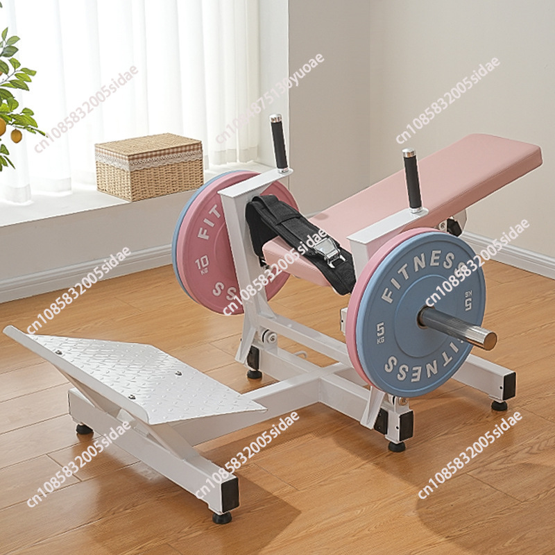 Mesin Pelatih Otot Bokong Wani - Home Gym Workout Equipment ulasan dan harga