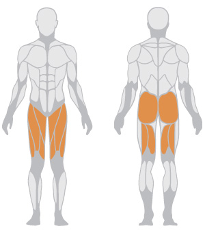 Peralatan Olahraga Komersial B - Leg Press Machine ulasan dan harga