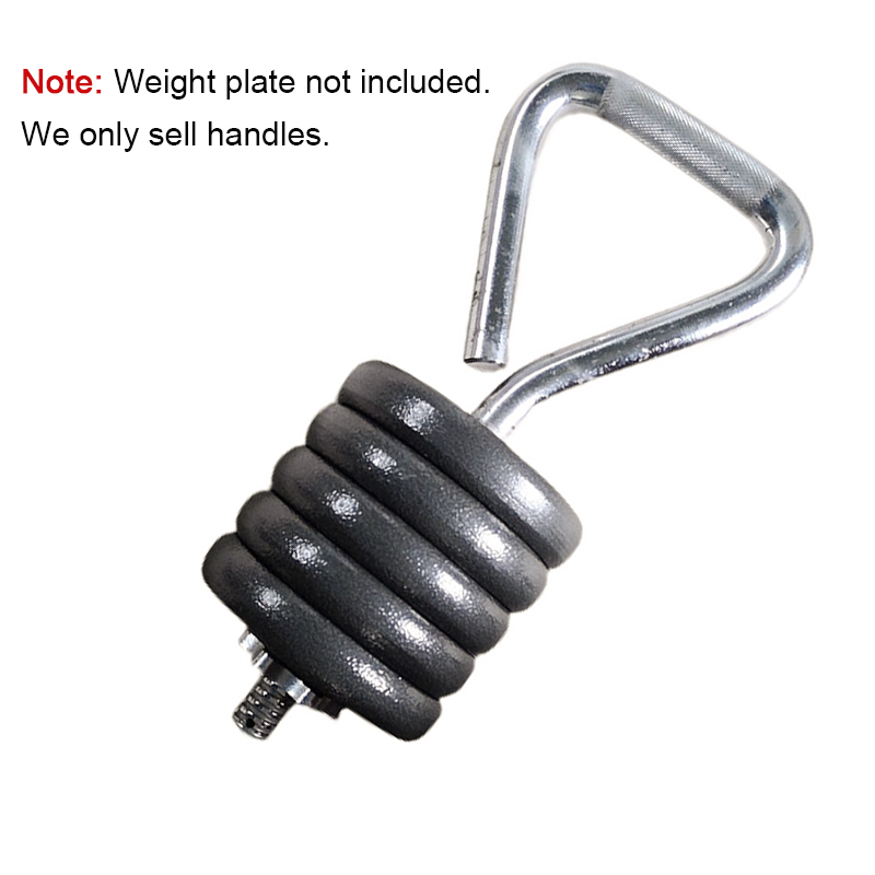 Peralatan Latihan Kekuatan Lat - Home Gym Workout Equipment ulasan dan harga