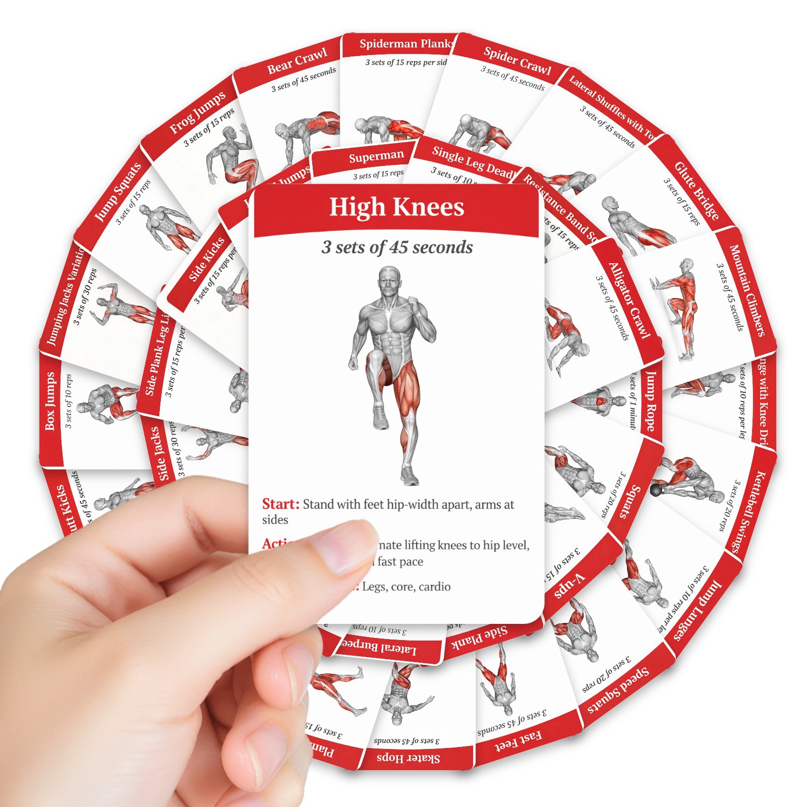 36Pcs Kartu Panduan Latihan Pe - Home Gym Needs ulasan dan harga